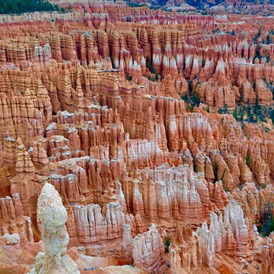 Taken at Bryce Canyon National Park, May 1.