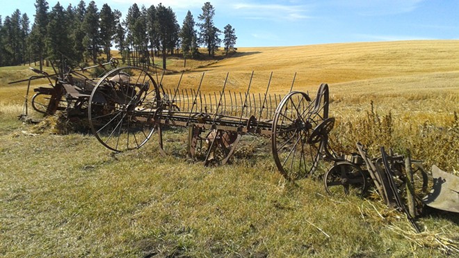 Cemetery of old farm equipment