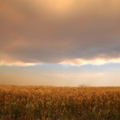 This wheat field was under dark skies in Cloverland as wild fires burned not far away on July 9, 2021.