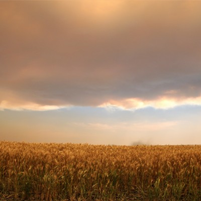 Cloverland Wheat Field