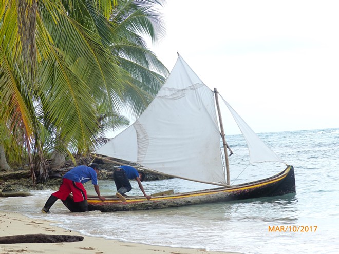 Coconut gatherers