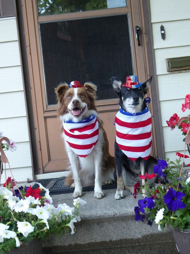 Cricket and Cheyenne, ready to celebrate the 4th of July