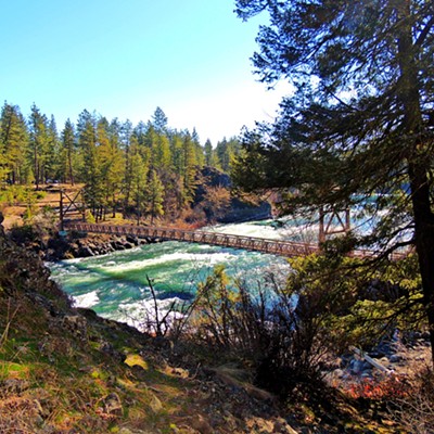 This photo of the pedestrian suspension bridge at the Riverside State Park - Bowl and Pitcher Area after crossing the Spokane River was taken on March 13, 2021 by Leif Hoffmann (Clarkston, WA) when going for a hike with family.