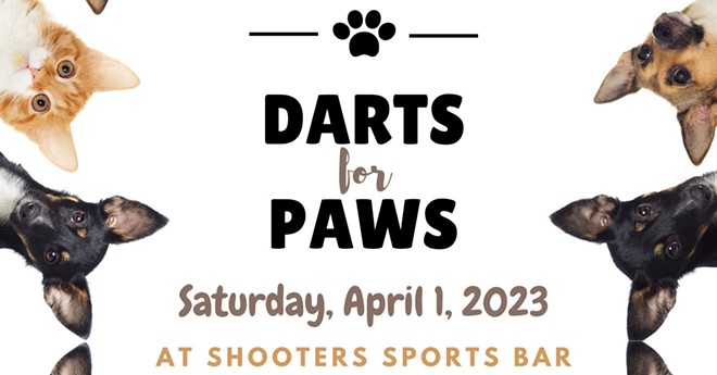 darts-for-paws.jpg