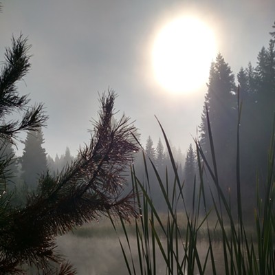 Early morning at the pond