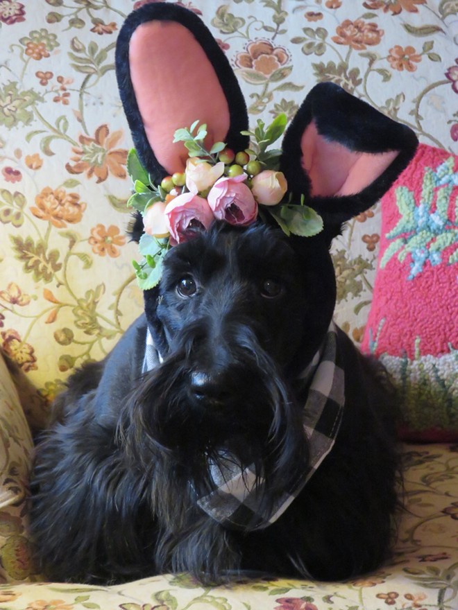 Easter Ears!
