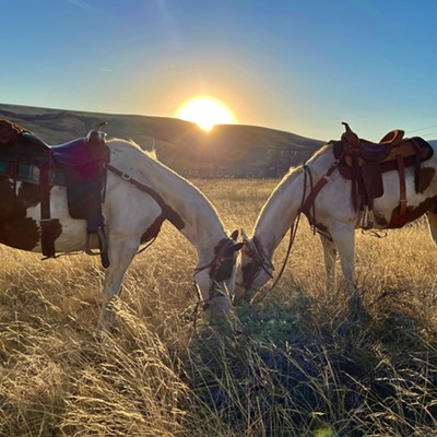 This photo was taken the evening of  Sept. 22 at Hells Gate State Park while our horses Conn and Tuffy got a quick snack during a  break.