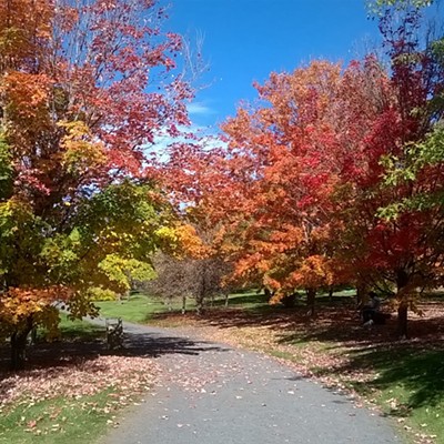 Photo taken Oct. 6 at the University of Idaho&nbsp;Arboretum by Jim Allen. Jim and his wife, Fauna, recently moved to Moscow from Chewelah, Wash.