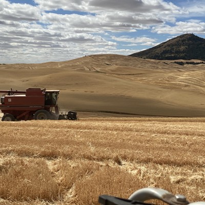 Zane Brown harvesting wheat near Steptoe Butte