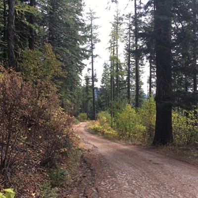 Why I love Idaho.  A day of cutting firewood and no other people except an occasional hunter passing by.