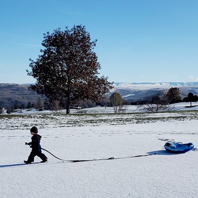 2 year old grandson, Walter in Clarkston Heights. Sunday afternoon