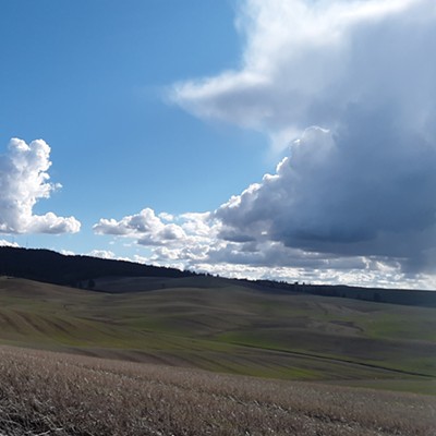 Landscape from high on a windy hill.