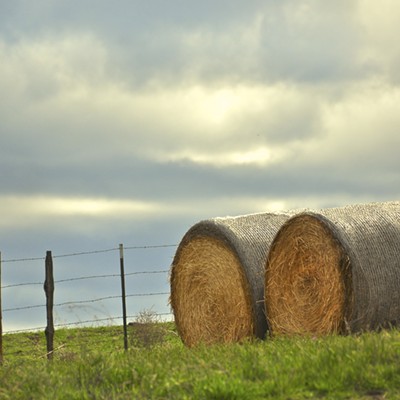 Stormy skies and hay bales . Taken April, 2015 in Lewiston by Gail Craig.