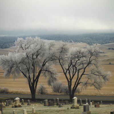 Looking at a fogged in Paradise Ridge with two hoar-frost coated trees at the Moscow Cemetery on Sunday 11-26-23 at 1:00 pm.