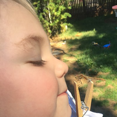 Christy Dennler-Lusco caught her son, Emerson, 2, trying to kiss a dragonfly at their home in Spokane on July 30, 2017.