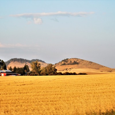 Looking east on the Palouse to Pullman Highway #27 on August 22, 2021
