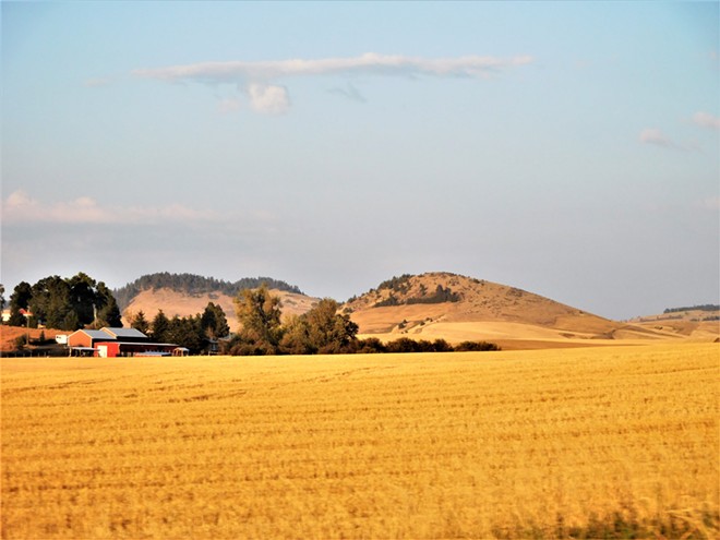 Looking east on the Palouse to Pullman Highway #27.