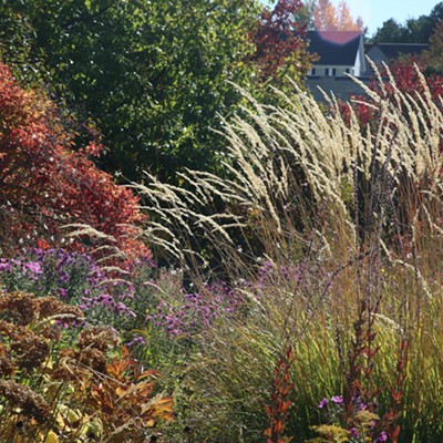 Breeze and sunshine filter through the gardens facilitating a meditative walk. Photo taken at Lawson Gardens in Pullman, WA on October 3, 2018 by Keith Collins.