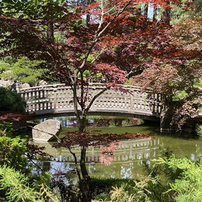 Japanese Garden in Monito Park, Spokane WA. Taken in June of 2022.