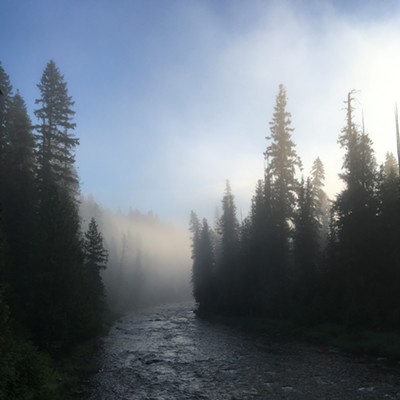 Morning Fog, Crooked Fork Lochsa River