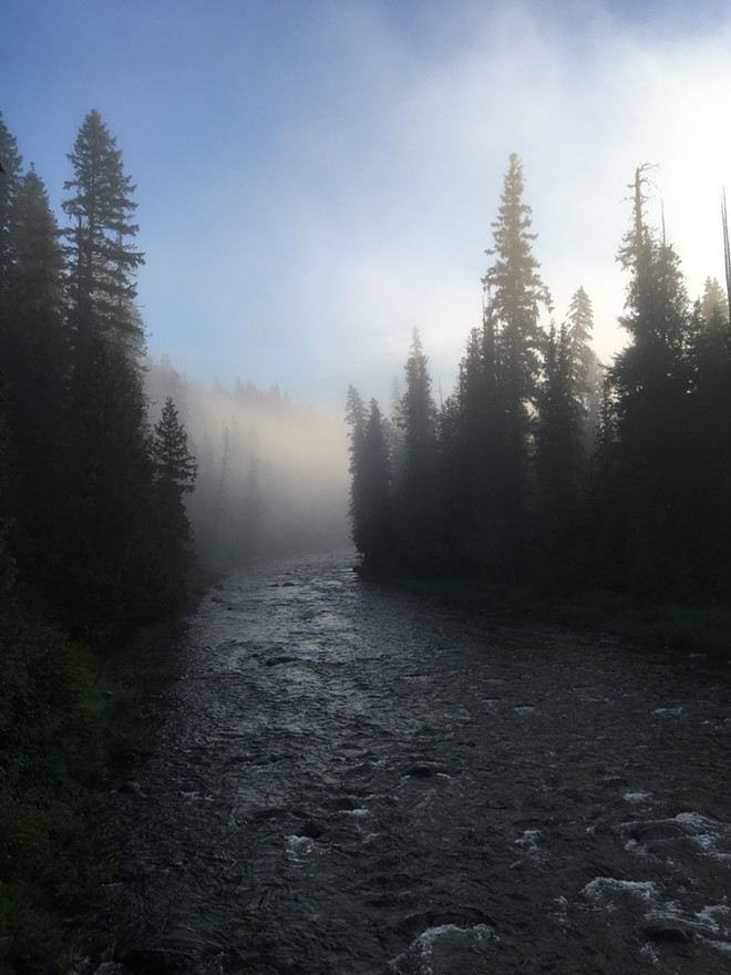 Morning Fog, Crooked Fork Lochsa River