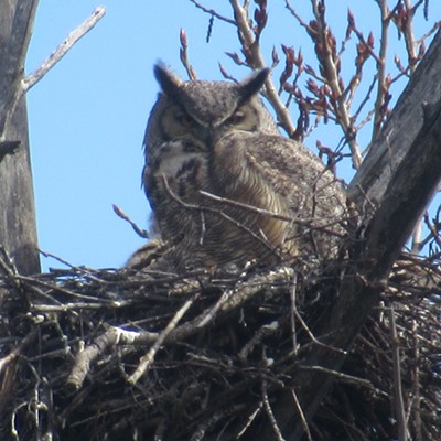 Photo taken by the Salmon River on April 11, 2017, by Patrick Winters.