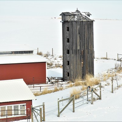 An old-style wooden-grain silo on the Colegrove property just past the top of the Lewiston Grade near Highway #95, while you drive north.  Each window was closed from bottom up, while being filling up by an elevator dumping grain from the top of the silo.  This photograph was taken by Keith Gunther on 12-3-22.