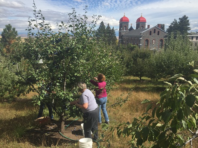 Orchard Harvest at St. Gertrude's