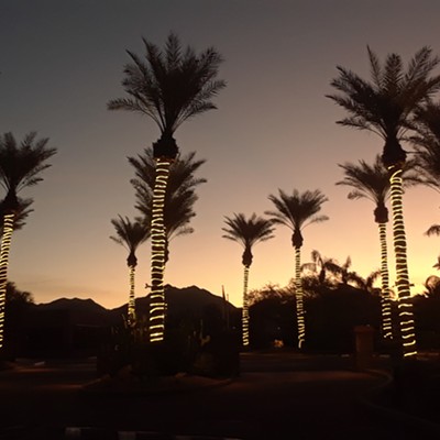 Last month in October I was on vacation with my longtime friends. The place we stayed had these beautiful palm trees lighted up at night. This was taken just when the sun was setting.