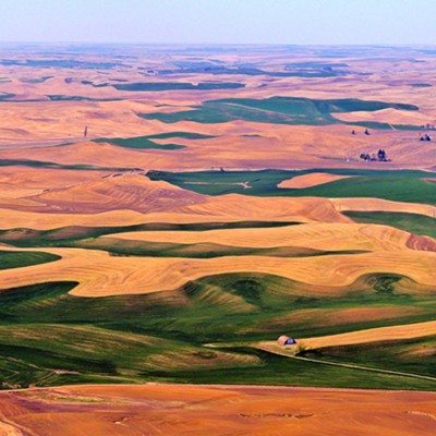This photo of the Palouse was taken from the top of Steptoe Butte on April 18, 2021 by Leif Hoffmann (Clarkston, WA) while visiting the state park for an afternoon family picnic.