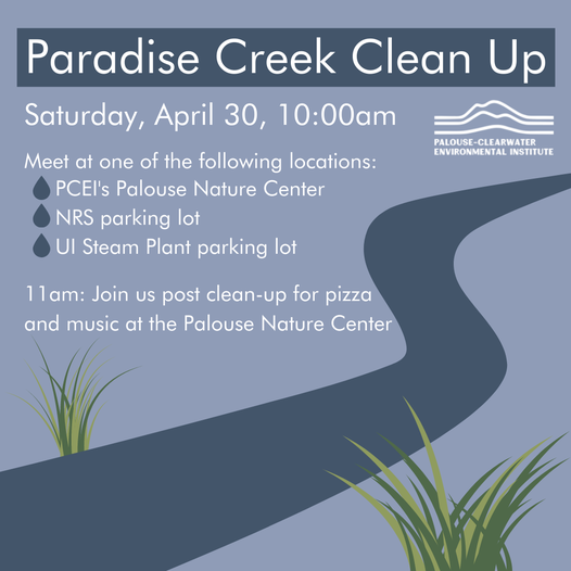 paradise_creek_cleanup.png