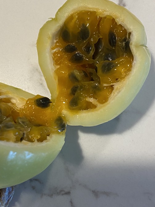 Passionate pursuit: Who says tropical fruit can’t grow in Idaho?