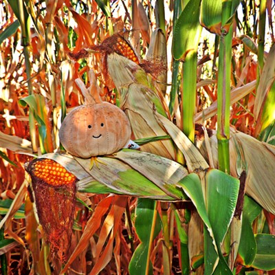 Leif Hoffmann (Clarkston, WA) took this photo of a plush onion peeking out between some corn cobs at the Walla Walla Corn Maze in the late afternoon of October 8, 2023, when walking through the maze with family.