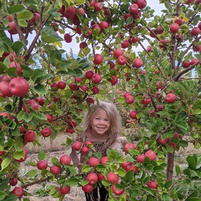 Aila Remien, 4, poses for a picture while picking apples at Bishops' Orchard in Garfield, Washington on September 12, 2021. Aila is the daughter of Peter Remien and Shelly Ruspakka of Moscow, Idaho.