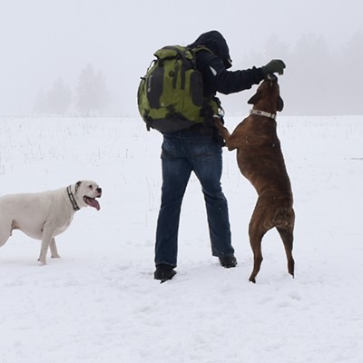 Mocha and Nikko have so much fun playing with their "Daddy." Bryan and Kathy Witt went up to see how much snow there was near Winchester on March 14. Picture taken by Kathy Witt.