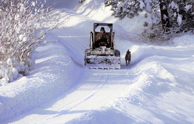 Plowed Snow with Loyal Friend