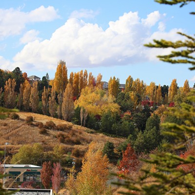 The glory of the diversity of foliage and color in the hills of Pullman as the sun casts its bright rays between the clouds during the afternoon of October 20, 2021.  Photo taken by Keith Collins.