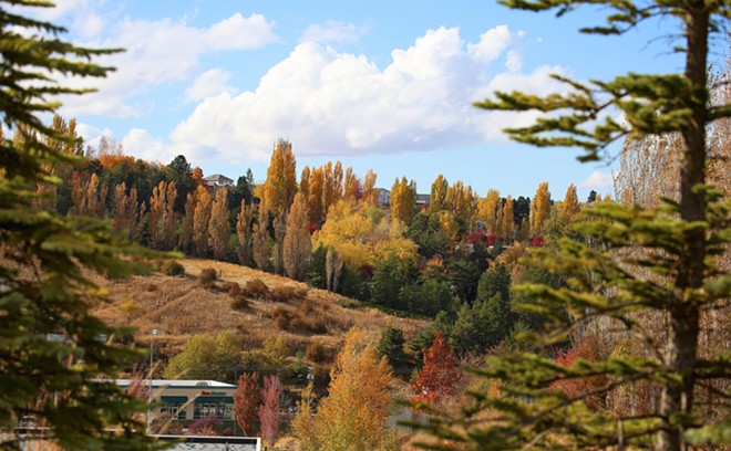 Pullman's Fall Foilage