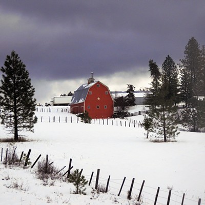 This red barn really stood out in the snow towards Elk River. Taken December 12, 2018 by Mary Hayward of Clarkston.