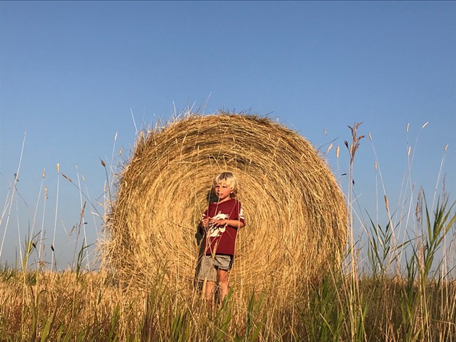 Reed and a hay bale