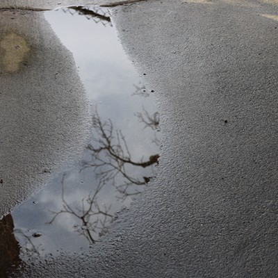 reflections in a puddle