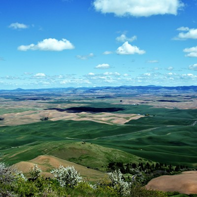 This is the Spring view from Steptoe Butte. Mary Hayward of Clarkston took this shot May 8, 2020.