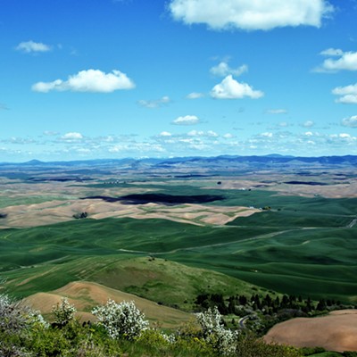 Rolling Green Hills