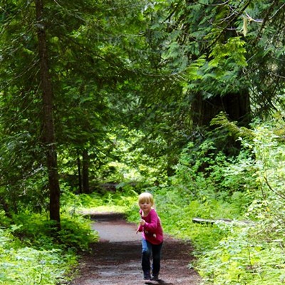 Running Through The Great Cedars