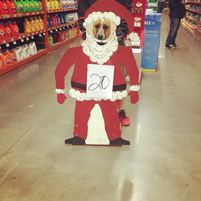 Rhett disguised as Santa at Lewiston's Home Depot. Photo by Allison Beck of Lewiston, taken Dec. 5, 2016.