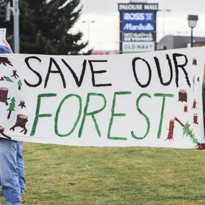 Save Our National Forests