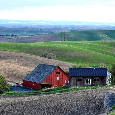 This barn outside of Moscow stands out against the colors of spring.  Taken in early May.
