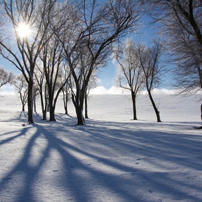 snowy tree shadows on the Palouse