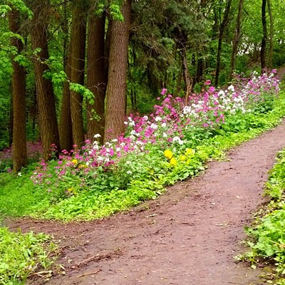 Spring trails in the Shattuck Arboretum on the University of Idaho campus