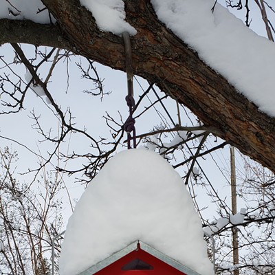 Heavy snowfall on February 18 created a pointy hat for our bird feeder in Moscow.